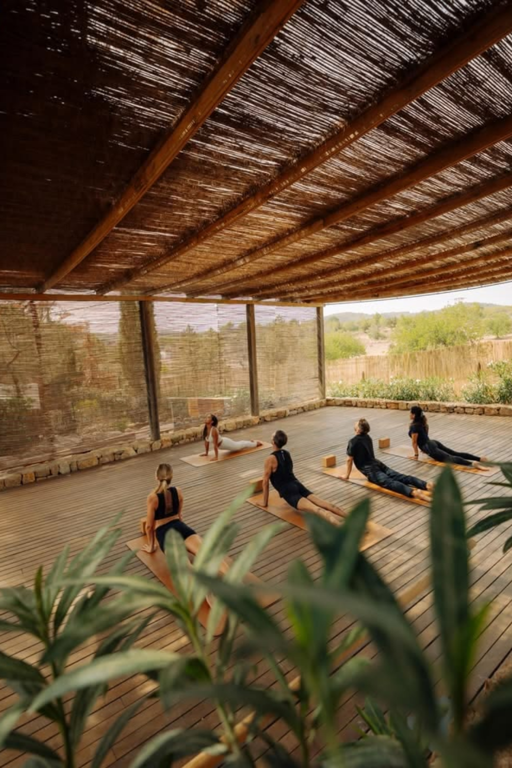 Group yoga session in an open-air timber pavilion