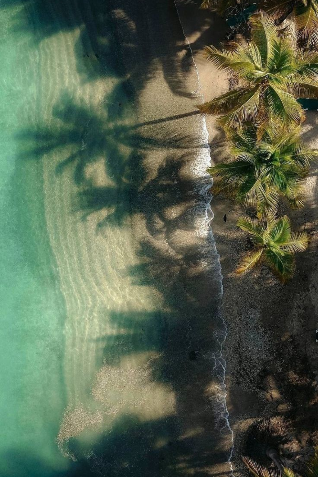 Aerial view of Vengurla's tropical coastline and clear water