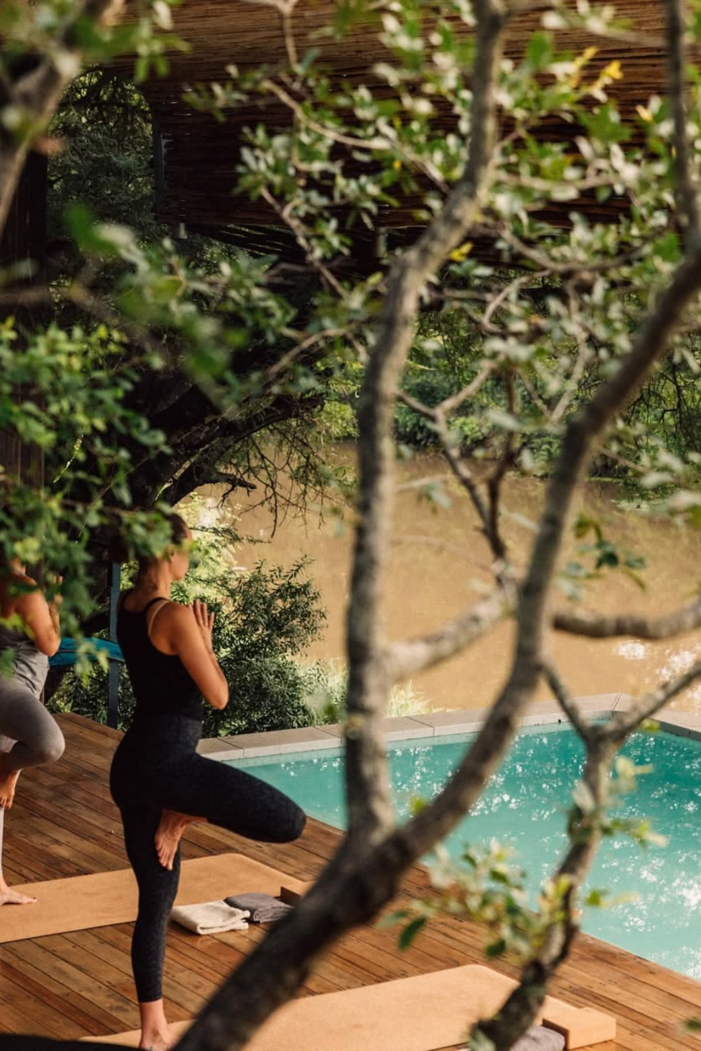 Mindful movement beside a pool in a tropical wellness setting